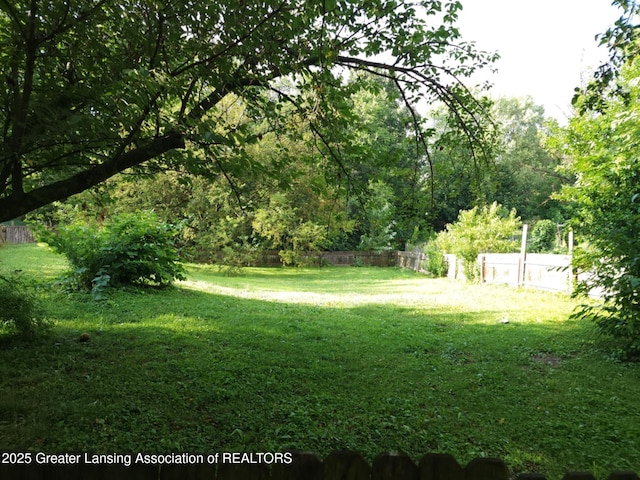 3612 Dell Rd, Holt, MI 48842 - view of yard