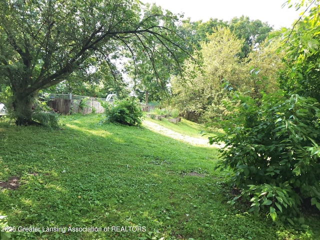3612 Dell Rd, Holt, MI 48842 - view of yard