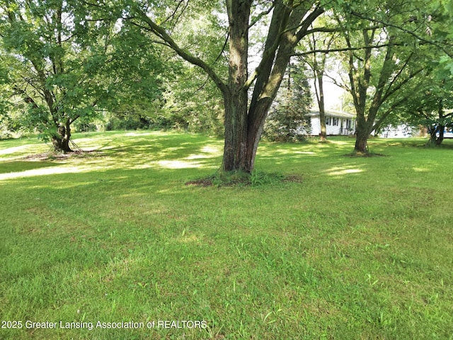 3612 Dell Rd, Holt, MI 48842 - view of green lawn