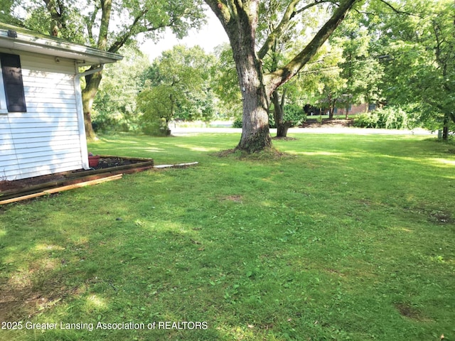 3612 Dell Rd, Holt, MI 48842 - view of grassy yard featuring view of scattered trees
