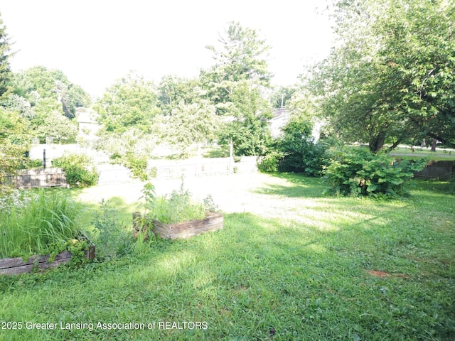 3612 Dell Rd, Holt, MI 48842 - view of yard featuring a vegetable garden