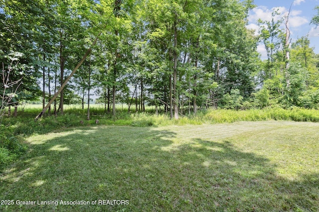 4930 N Campers Trl, Perrinton, MI 48871 - view of green lawn