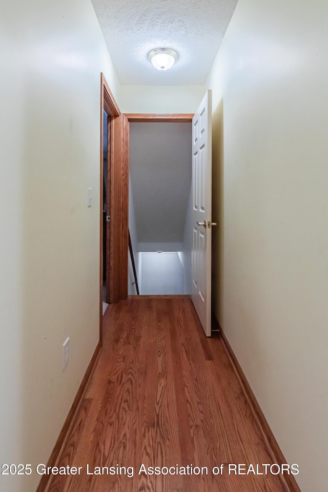 205 Geneva Cir, Lansing, MI 48917 - photo 18