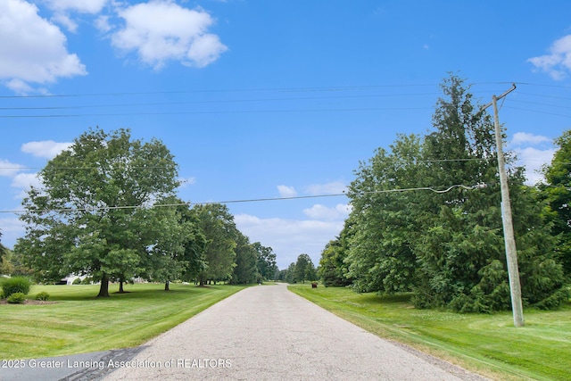 4350 Fruitbelt Ln, Williamston, MI 48895 - photo 7