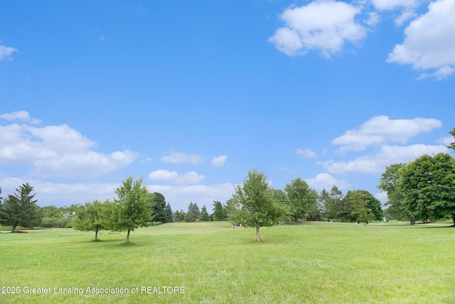 4350 Fruitbelt Ln, Williamston, MI 48895 - photo 8