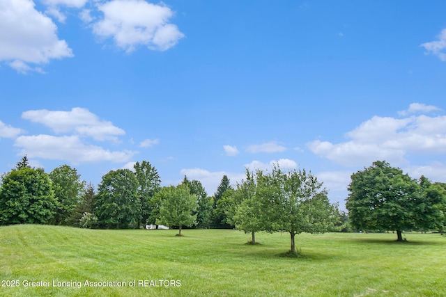 4350 Fruitbelt Ln, Williamston, MI 48895 - photo 9