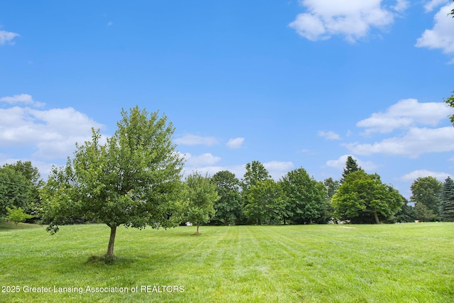 4350 Fruitbelt Ln, Williamston, MI 48895 - photo 10