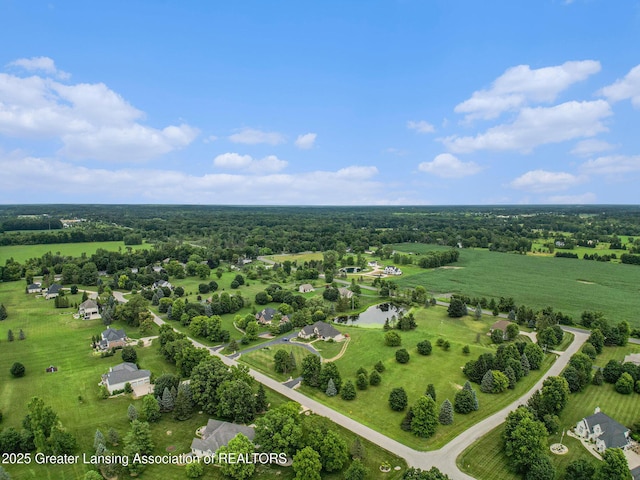 4350 Fruitbelt Ln, Williamston, MI 48895 - photo 15
