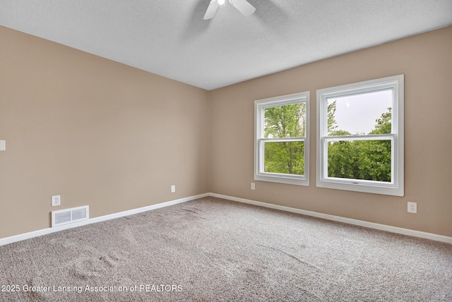 4527 W Hibbard Rd, Owosso, MI 48867 - photo 20