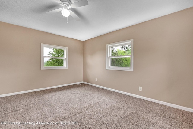 4527 W Hibbard Rd, Owosso, MI 48867 - photo 24