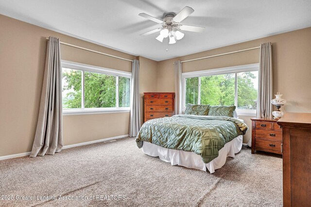 4527 W Hibbard Rd, Owosso, MI 48867 - photo 15