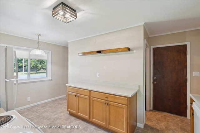808 Robins Rd, Lansing, MI 48917 - photo 11