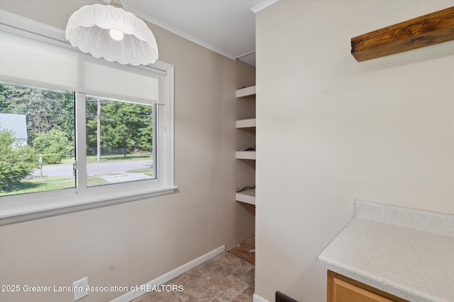 808 Robins Rd, Lansing, MI 48917 - photo 17