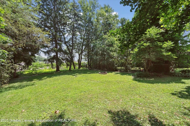 808 Robins Rd, Lansing, MI 48917 - photo 38