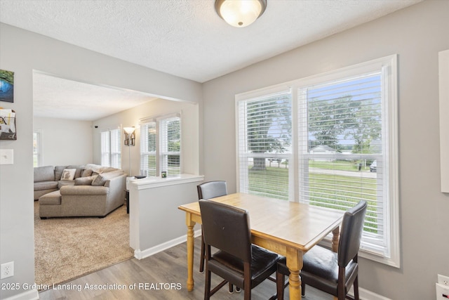 15407 Park Lake Rd, East Lansing, MI 48823 - photo 15