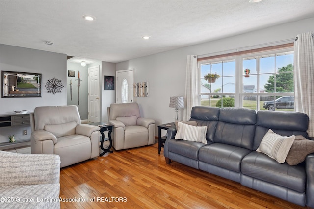 129 Elizabeth Way, Potterville, MI 48876 - living room featuring light wood-style floors and recessed lighting