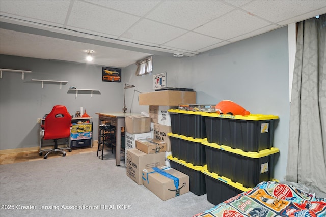 129 Elizabeth Way, Potterville, MI 48876 - view of storage