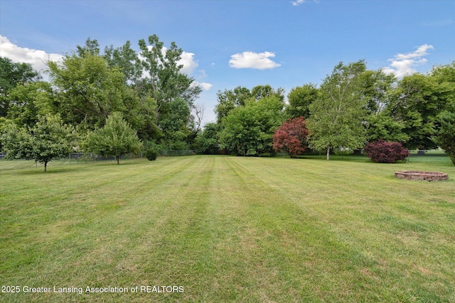 129 Elizabeth Way, Potterville, MI 48876 - view of yard