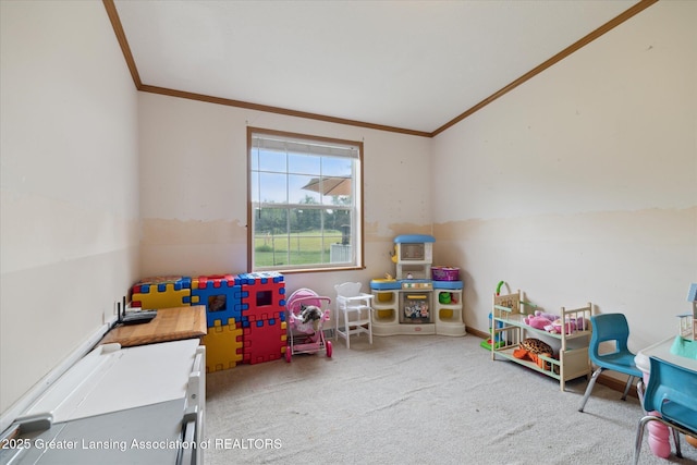 2377 W Bennington Rd, Owosso, MI 48867 - photo 34