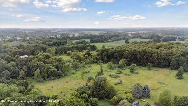 2377 W Bennington Rd, Owosso, MI 48867 - photo 45