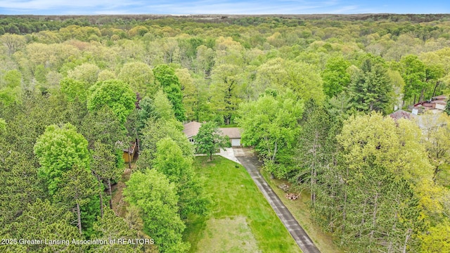 11958 Eden Trl, Eagle, MI 48822 - photo 33
