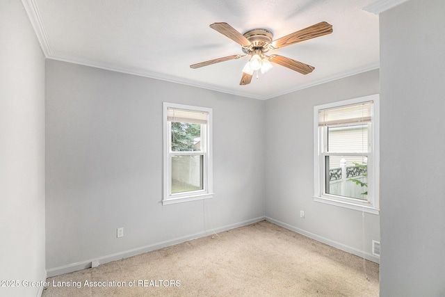1523 Downey St, Lansing, MI 48906 - photo 11