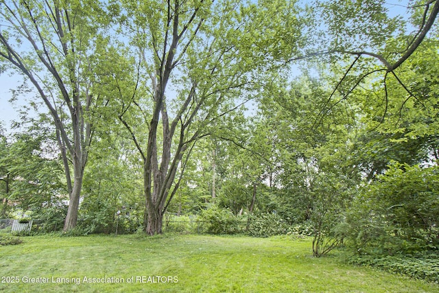 113 S Matthews St, Mason, MI 48854 - photo 26