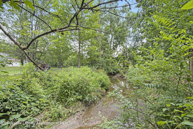 113 S Matthews St, Mason, MI 48854 - photo 28