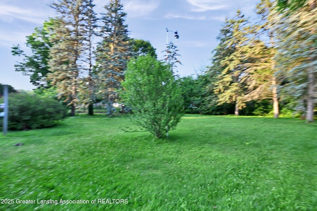 2520 Kuerbitz Dr, Lansing, MI 48906 - photo 21