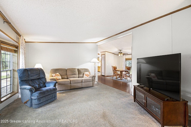 5773 N Seymour Rd, Owosso, MI 48867 - photo 6