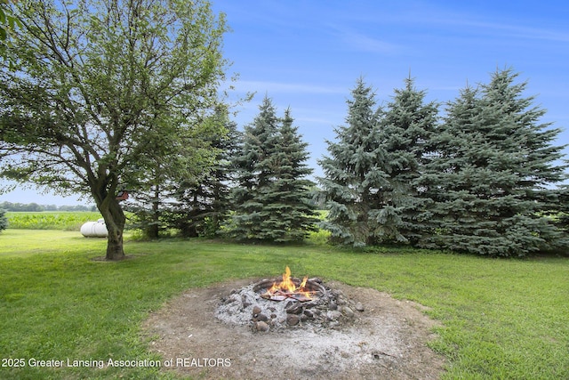 5773 N Seymour Rd, Owosso, MI 48867 - photo 30