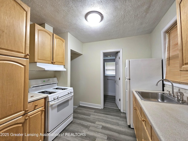 113 W Gier St, Lansing, MI 48906 - photo 11