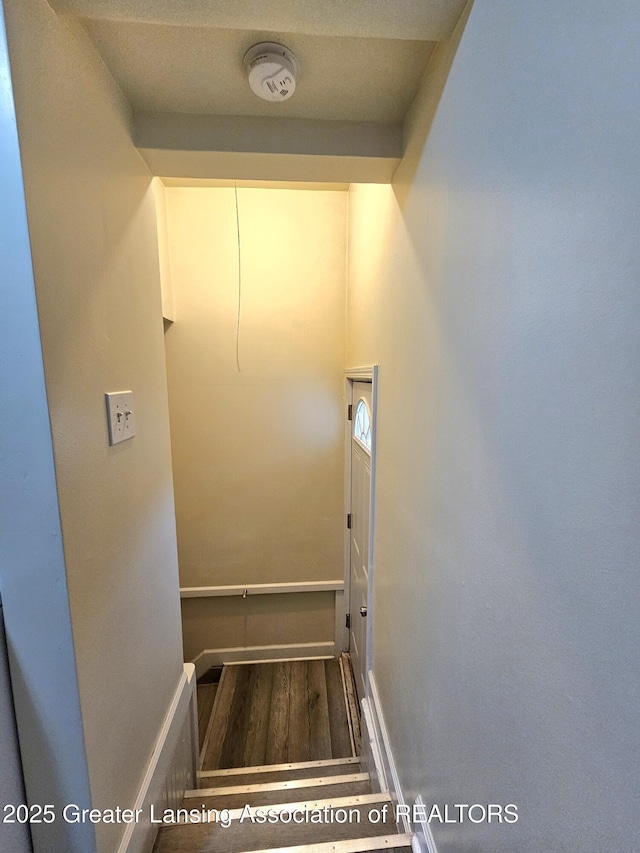 113 W Gier St, Lansing, MI 48906 - photo 17