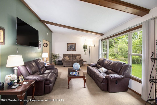 6239 Karen Lee Dr, Lansing, MI 48917 - photo 9