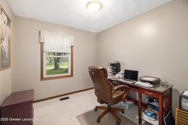 6239 Karen Lee Dr, Lansing, MI 48917 - photo 15
