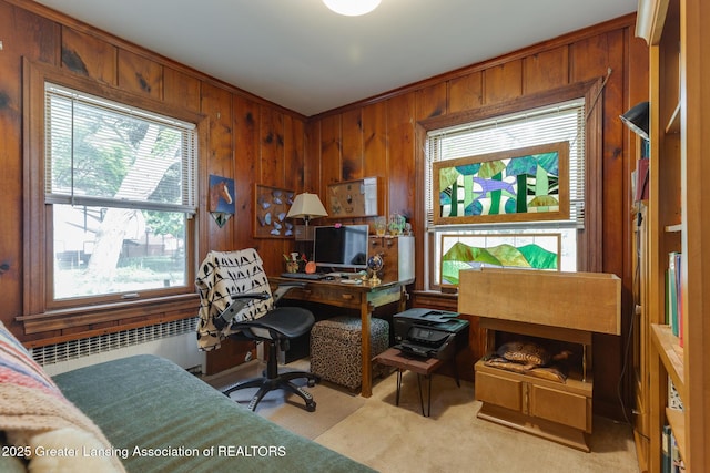 569 E Holmes Rd, Lansing, MI 48910 - photo 14