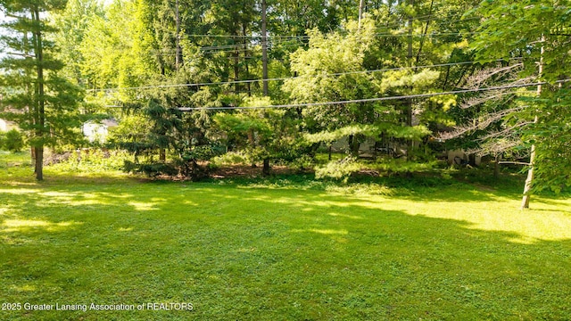 569 E Holmes Rd, Lansing, MI 48910 - photo 38