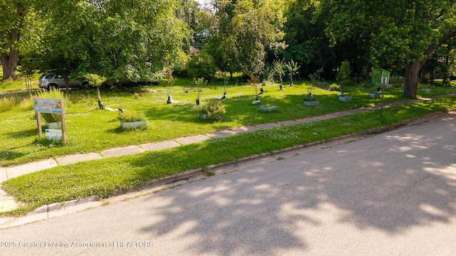 569 E Holmes Rd, Lansing, MI 48910 - photo 43
