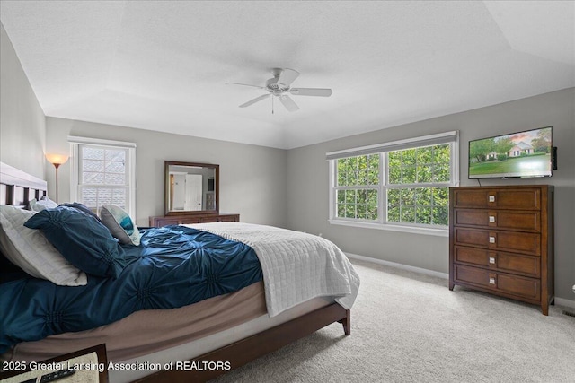 11654 Hidden Ridge Dr, Dewitt, MI 48820 - photo 24