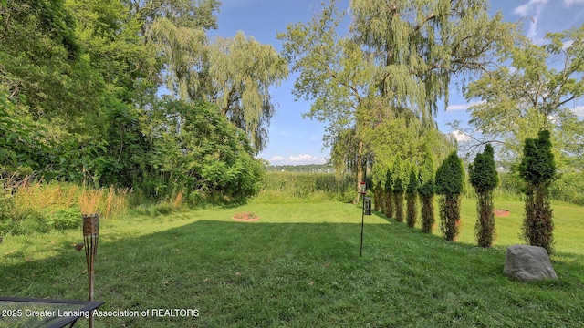 15507 Outer Dr, Bath, MI 48808 - photo 41