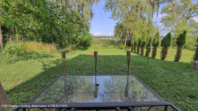 15507 Outer Dr, Bath, MI 48808 - photo 4