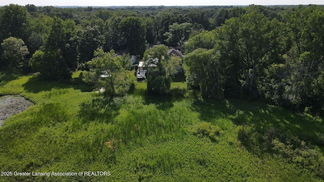 15507 Outer Dr, Bath, MI 48808 - photo 42