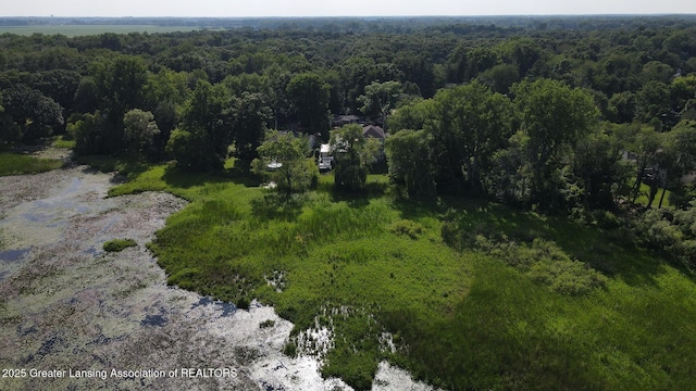 15507 Outer Dr, Bath, MI 48808 - photo 5