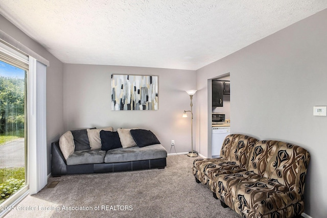 840 Armstrong Rd, Lansing, MI 48911 - photo 5