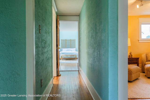 815 Bancroft Ct, Lansing, MI 48915 - photo 25