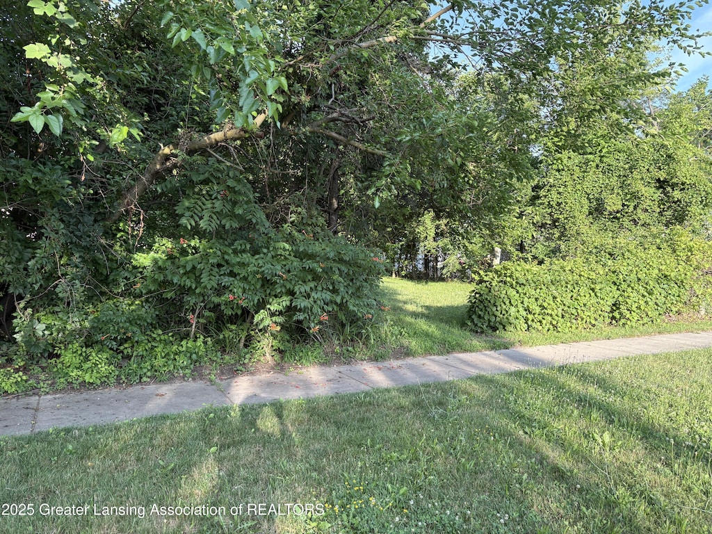 0 S Nelson St, Potterville, MI 48876 - photo 1