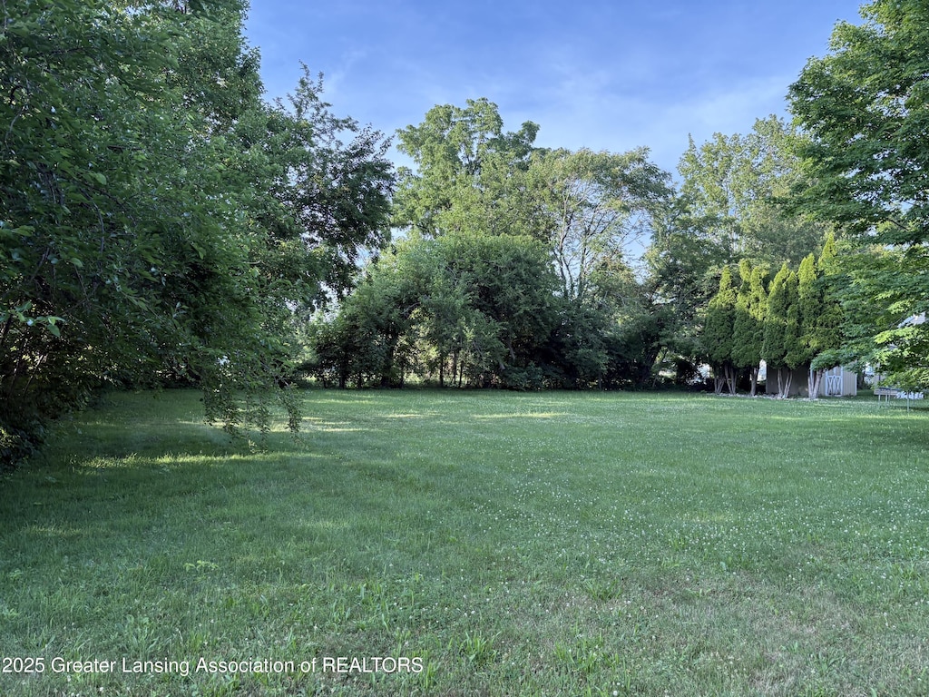 0 S Nelson St, Potterville, MI 48876 - photo 2