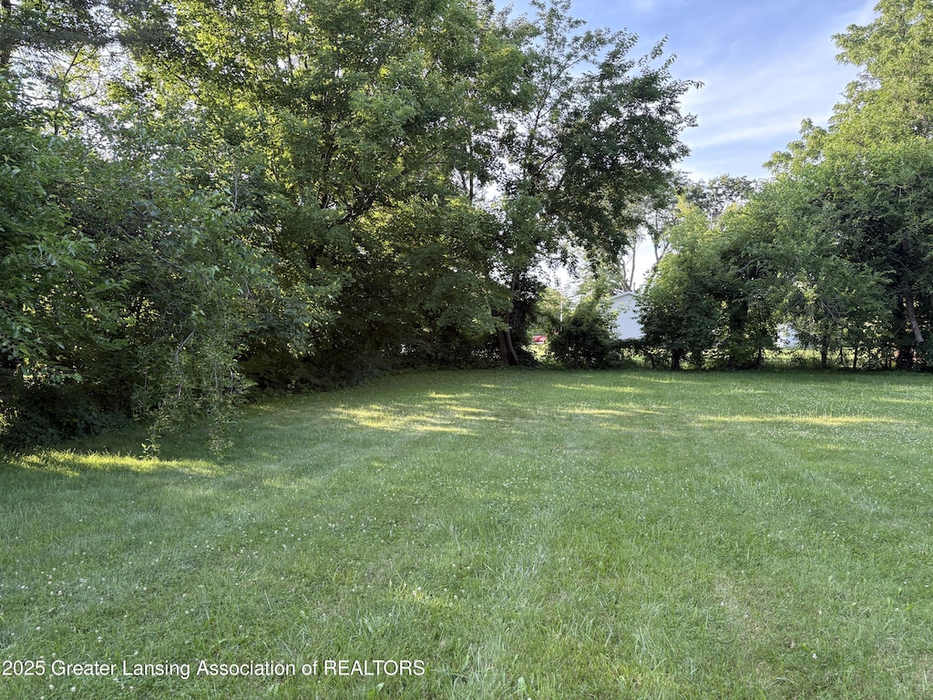 0 S Nelson St, Potterville, MI 48876 - photo 3