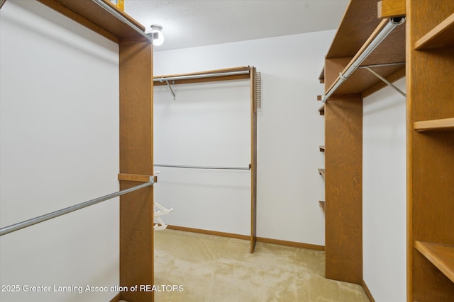 2575 Capeside Dr, Okemos, MI 48864 - walk in closet with carpet flooring