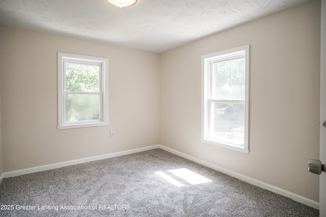 4656 Krental Ave, Holt, MI 48842 - photo 46
